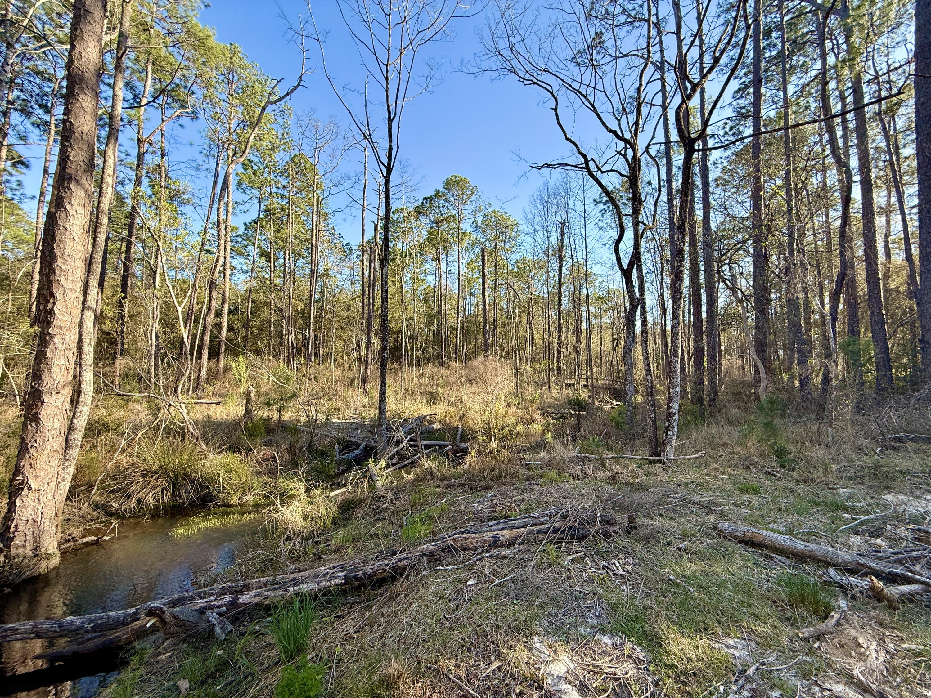 LAKE JUNIPER ESTATES UNIT 3 - Land