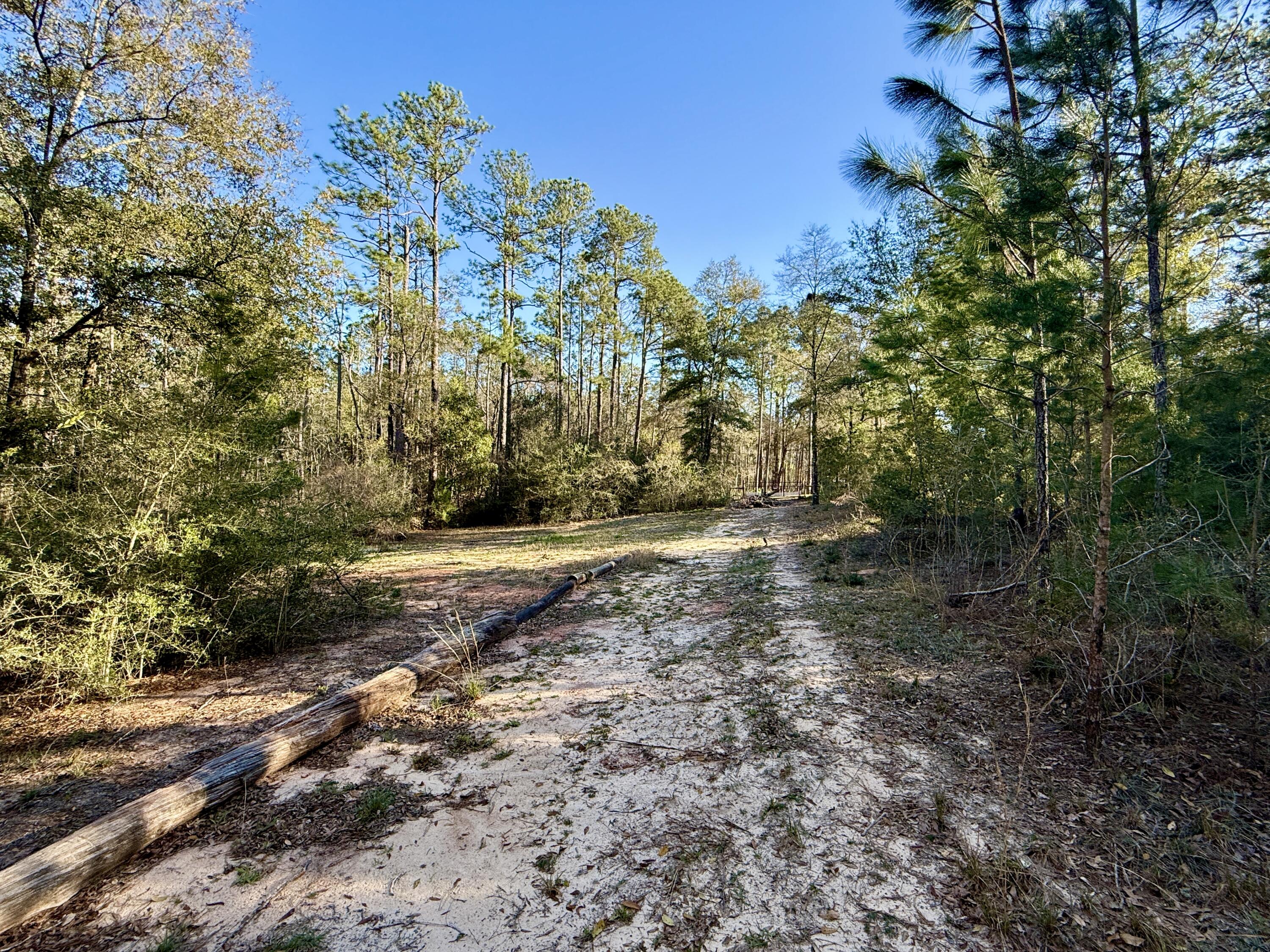 LAKE JUNIPER ESTATES UNIT 3 - Land