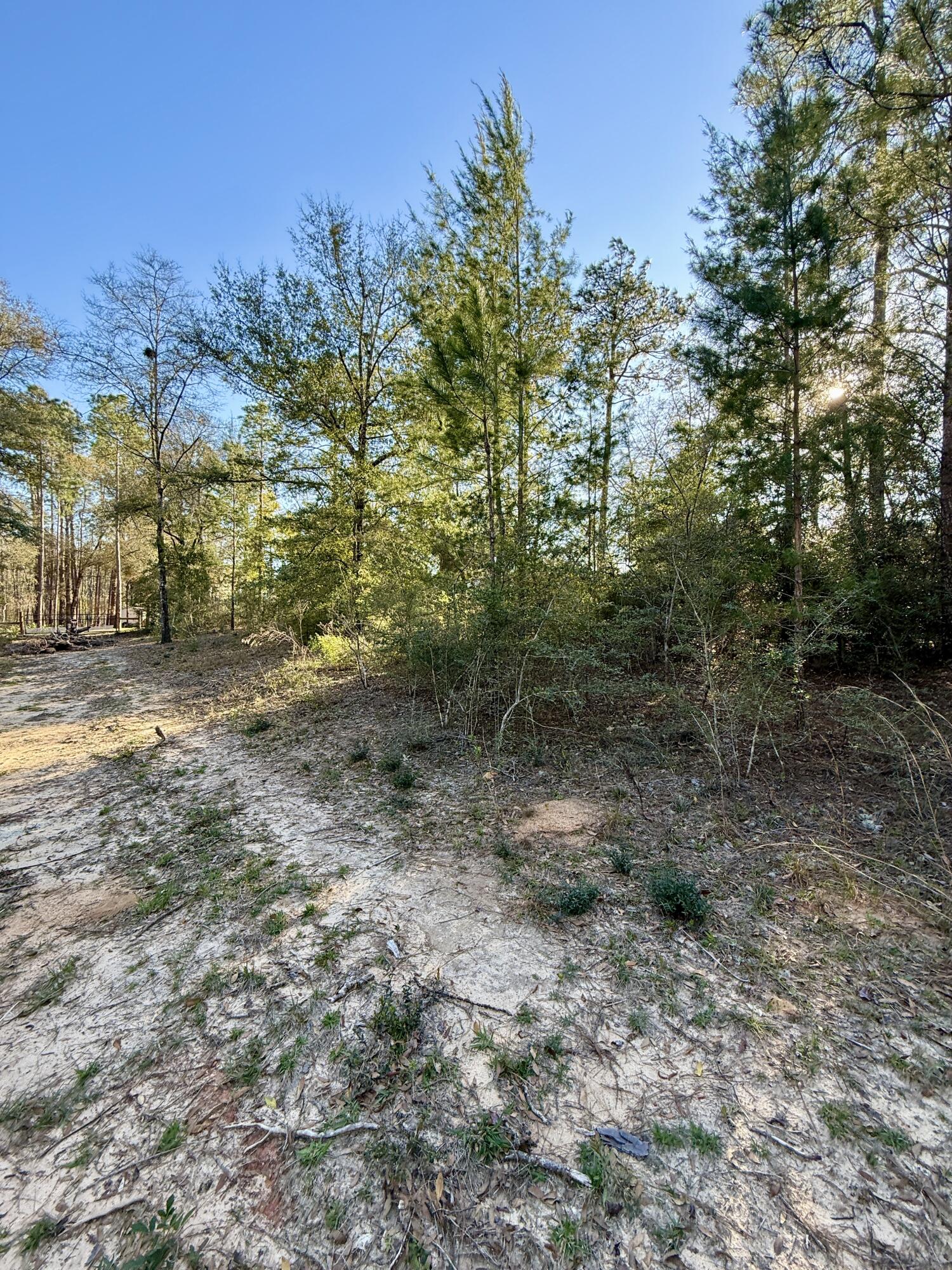 LAKE JUNIPER ESTATES UNIT 3 - Land