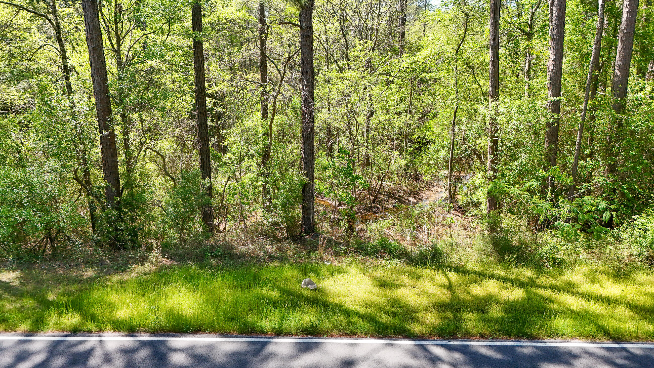 LAKE JUNIPER ESTATES UNIT 3 - Land
