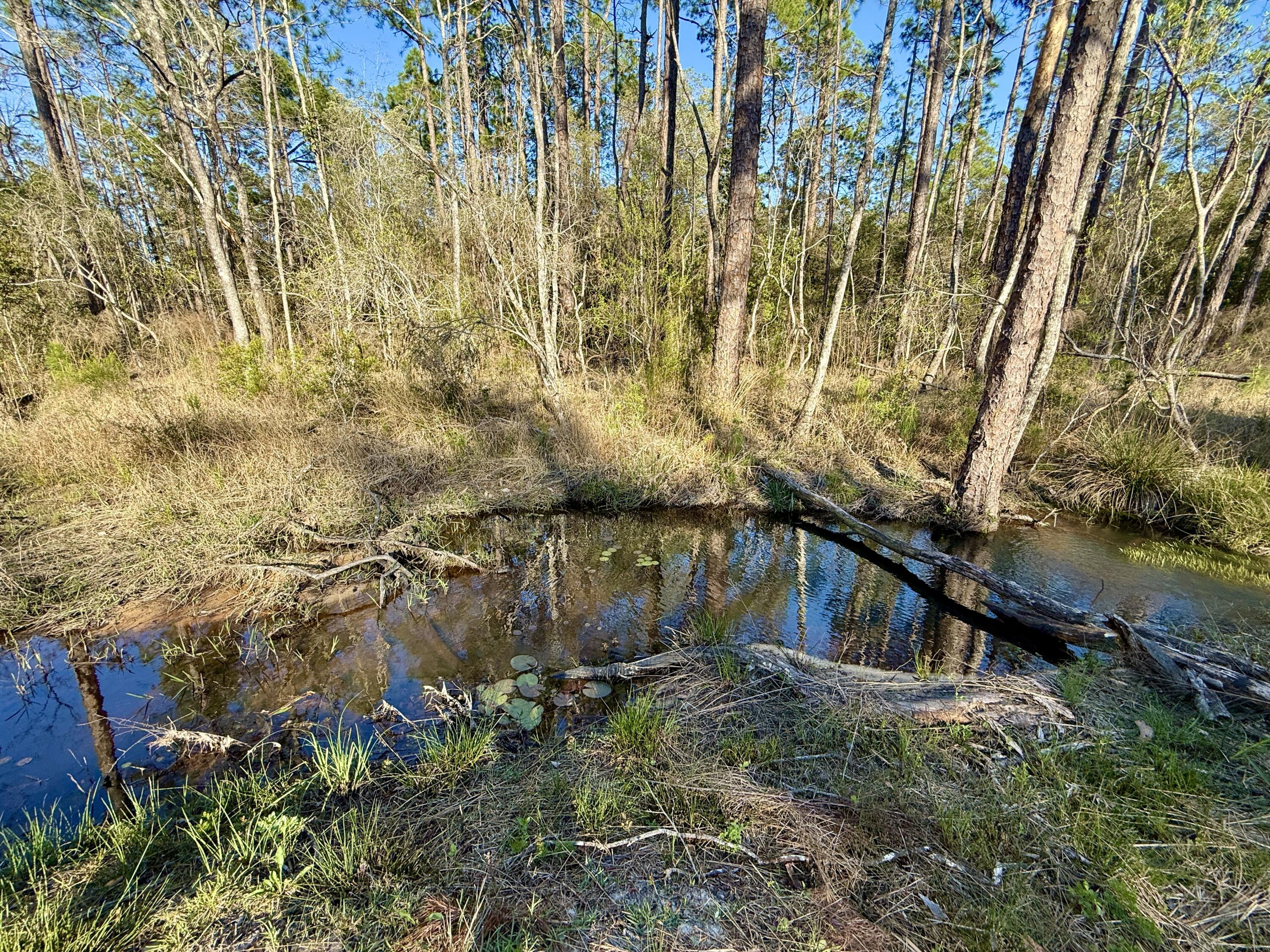 LAKE JUNIPER ESTATES UNIT 3 - Land