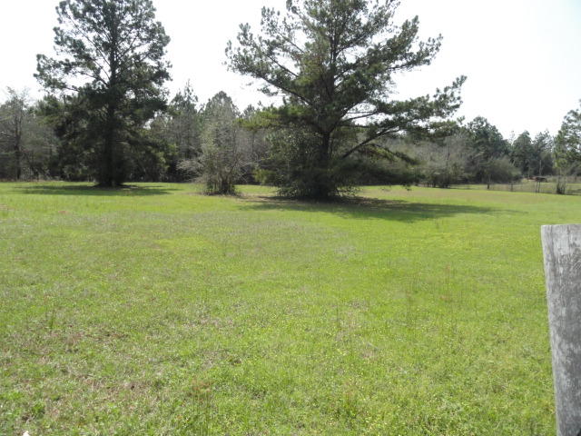 Field & Stream - Residential