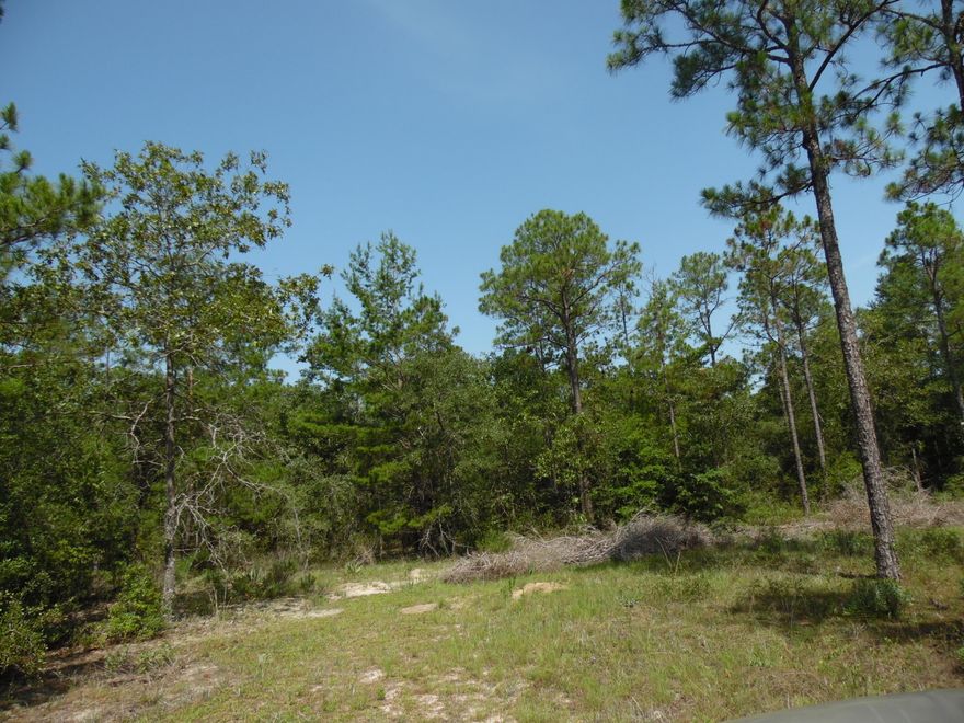 This beautiful piece of property is just off Woodyard road, it is close to town but it feels like the country. This property has frontage on Vines Rd and Goldsmith Rd.