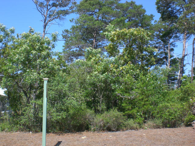LAKESIDE AT BLUE MOUNTAIN BEACH - Land