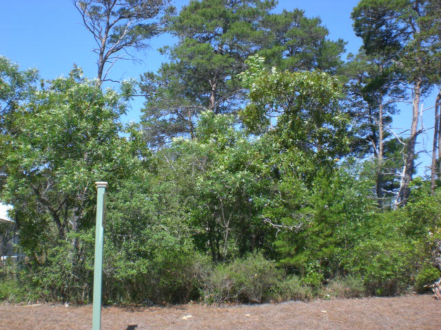 LAKESIDE AT BLUE MOUNTAIN BEACH - Land