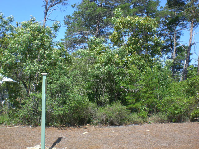 LAKESIDE AT BLUE MOUNTAIN BEACH - Land