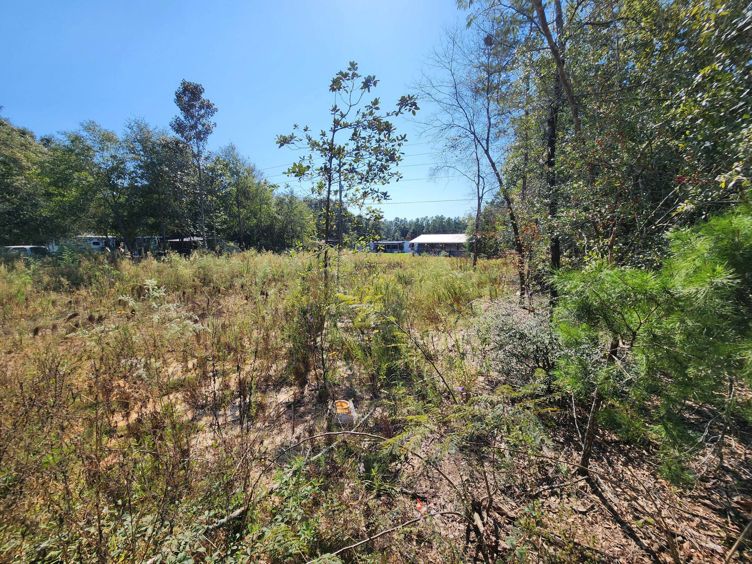 Are you in the market for a new lot that was previously cleared making for easy development going forward? Well if so this .23 acre lot is a must see with a great mosseyhead location providing easy access to Defuniak or 285 for local base/beach access. So grab you home plans and family and get ready to call this level lot home!