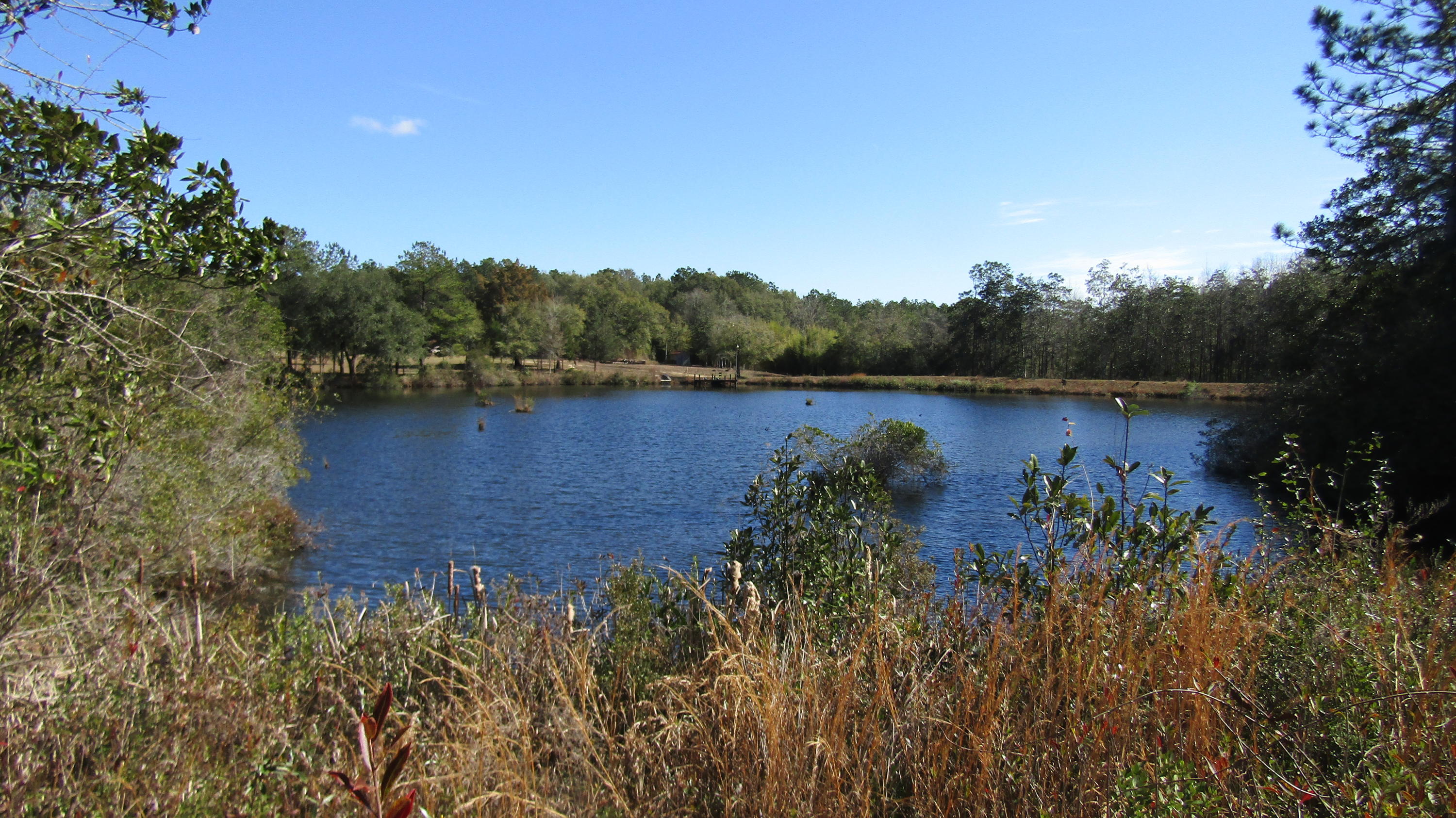 DO NOT MISS AN OPPORTUNITY TO OWN THIS VALUABLE PROPERTY!! 16.56 ACRES OF PURE BEAUTY.LOTS OF BEAUTIFUL TREES, A GORGEOUS LAKE THAT IS FILLED WITH SEVERAL SPECIES OF FISH!. PRIVATE ENTRANCE, DOCK FOR FISHING AND ENJOYING LIFE. PROPERTY IS IDEAL TO BUILD A SUB-DIVISION OR BUILD YOURSELF A LOVELY HOME OVERLOOKING THE LAKE IF YOU ARE SEEKING A PEACEFUL PLACE TO RELAX YOU HAVE FOUND IT HERE. LOCATION IS IDEAL AND WITHIN THE CITY LIMITS OF CRESTVIEW. AREA IS NEAR OUR MOVIE THEATER, CHURCHES, PUBLIX ANDWINN DIXIE. THIS PROPERTY WOULD BE A GREAT SUB-DIVISION. BASS LAKE RESTRICTIONS APPLY, SEE IN DOCUMENTS.SO MANY POSSIBILITIES!! SO QUIET AND PEACEFUL