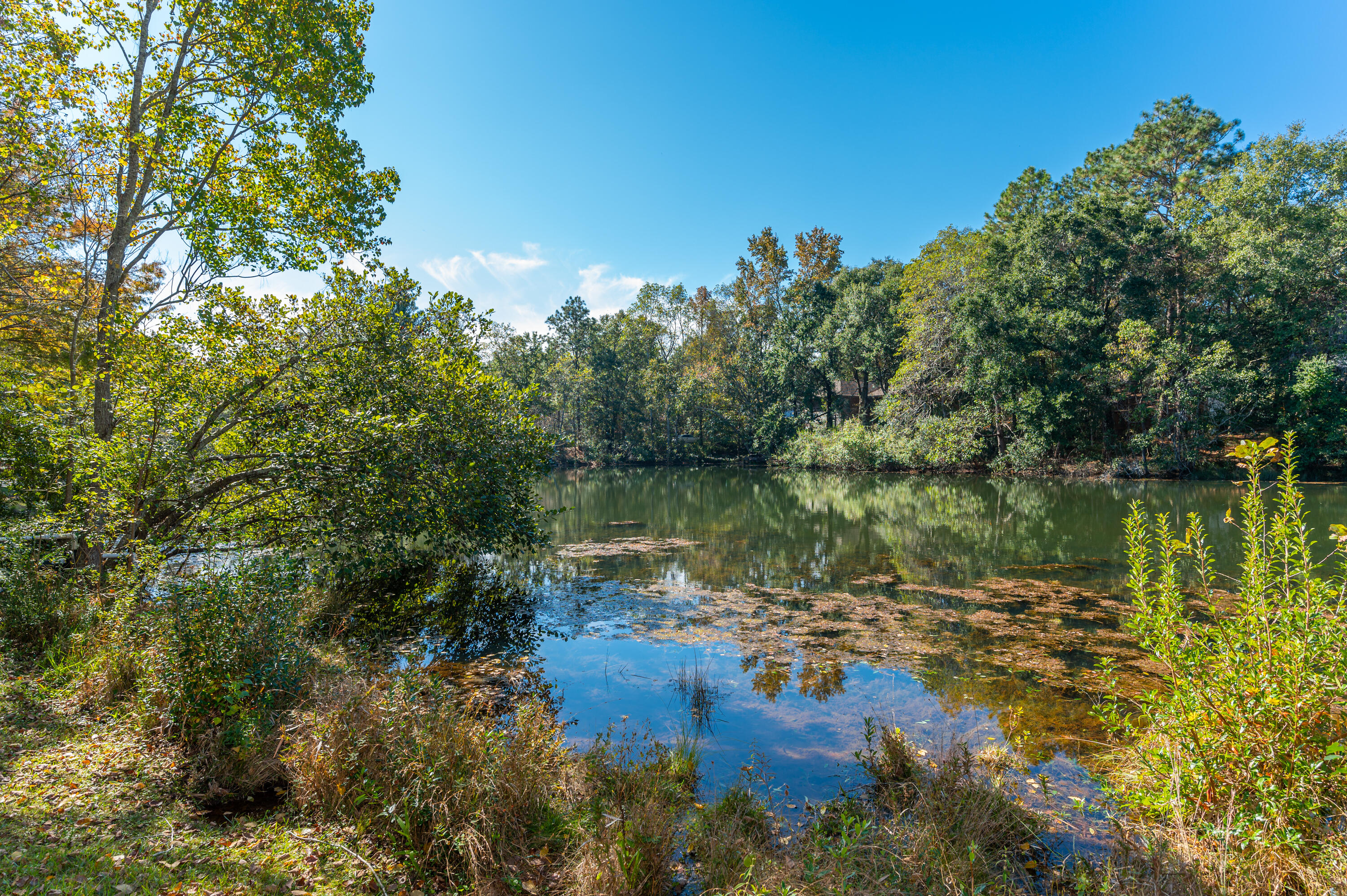 HUNTER WOODS - Residential