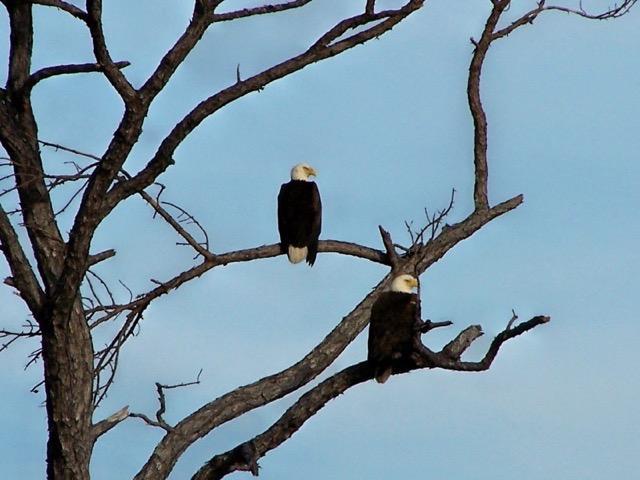 SOUNDWIND CONDO - Residential