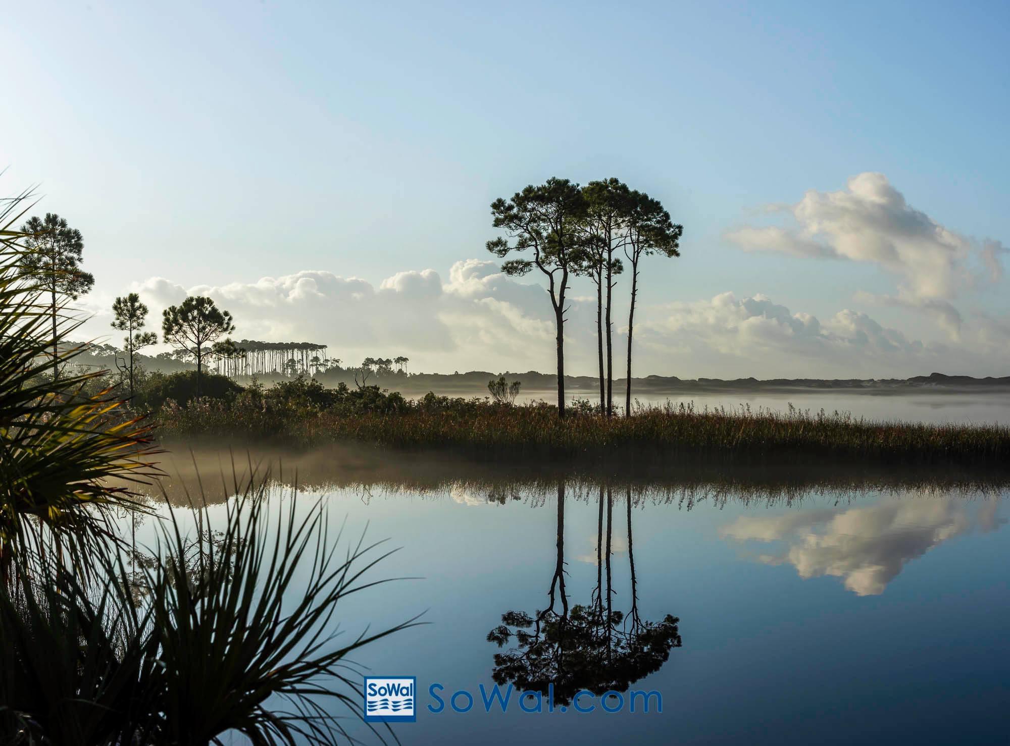 Summer Place - Residential