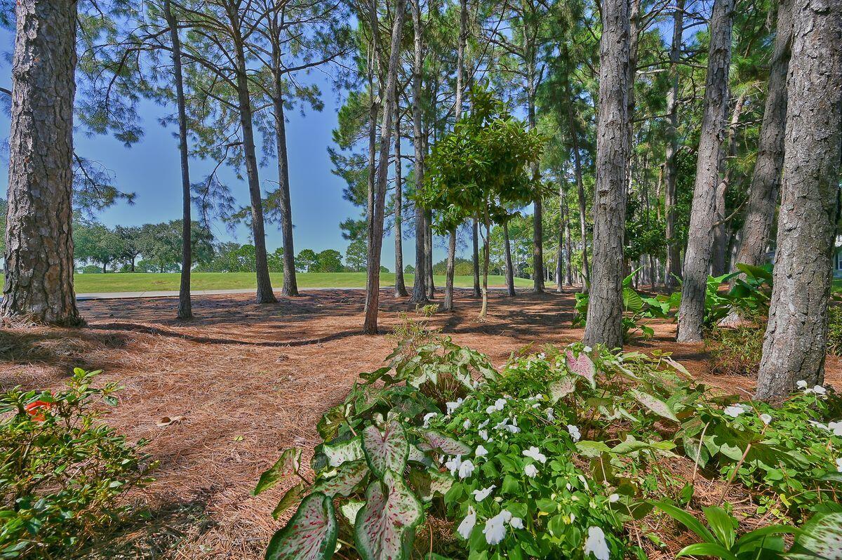 LAUREL GROVE - Residential