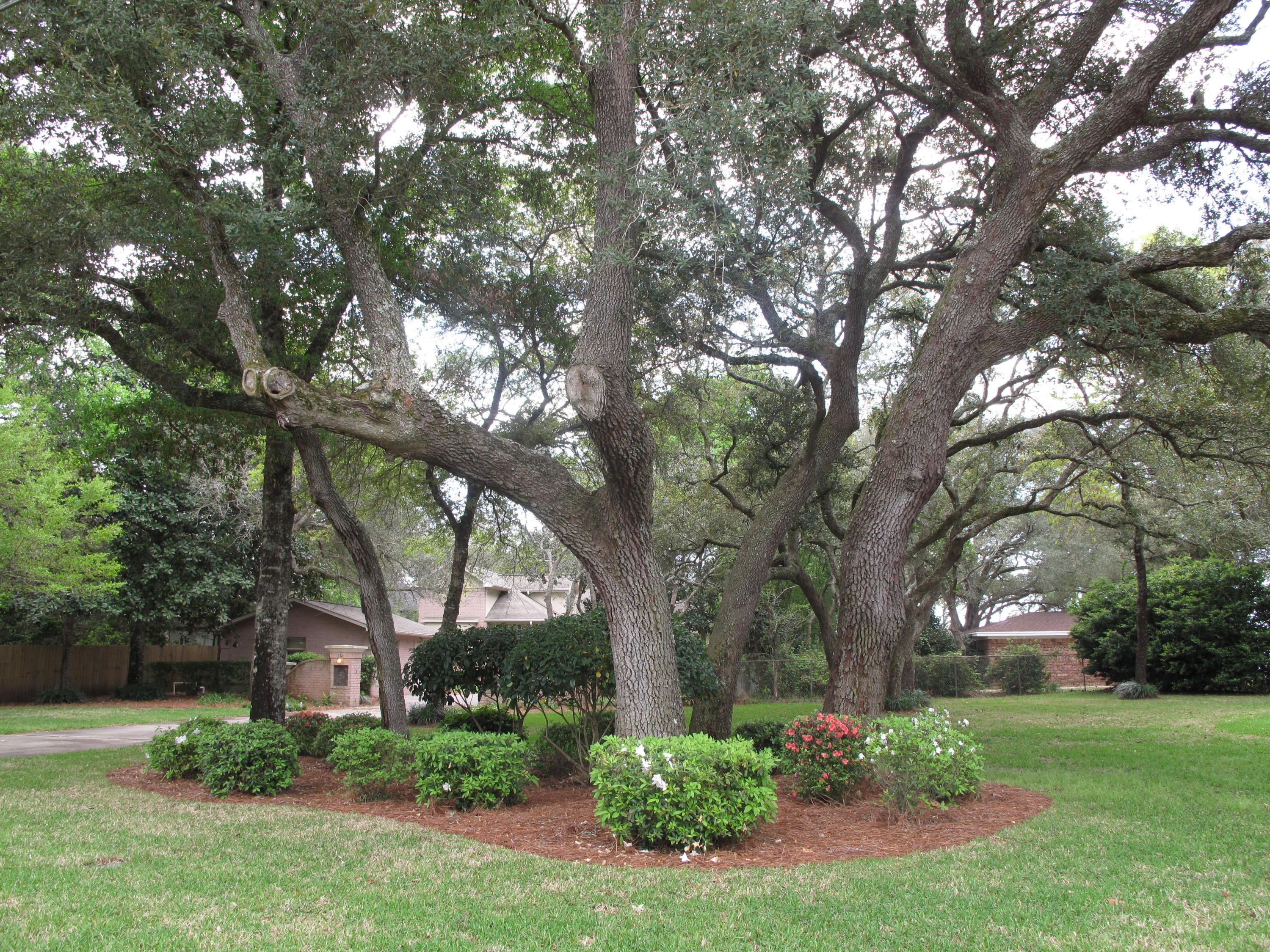 GARNIERS - Residential