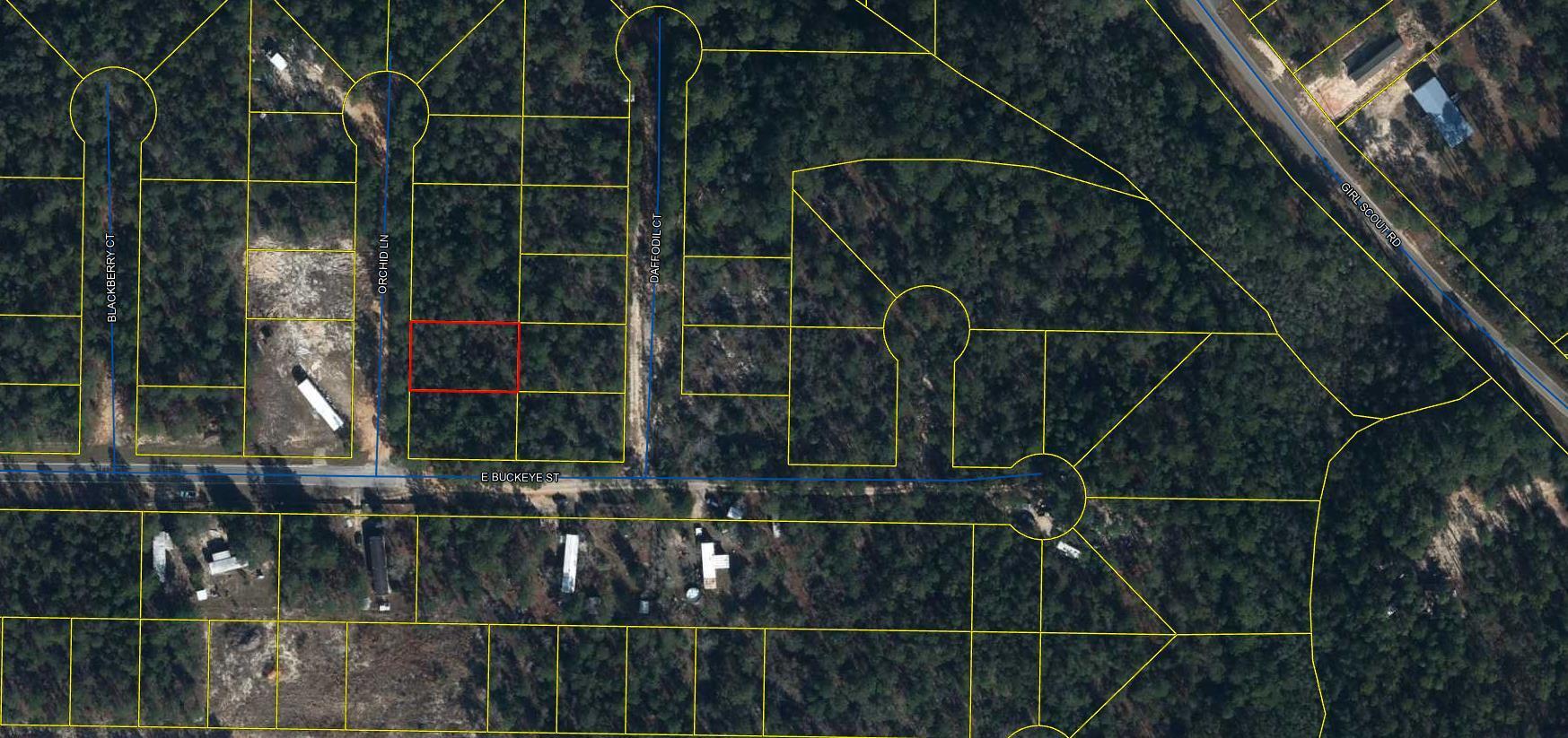 Nice wooded lot in Mossy Head ready for your new home. Mossy Head is a growing community and parcel in centrally located to local attractions. Blackstone Golf Course is just down the road ! Property will require septic and tap fee is due. No Survey on File.