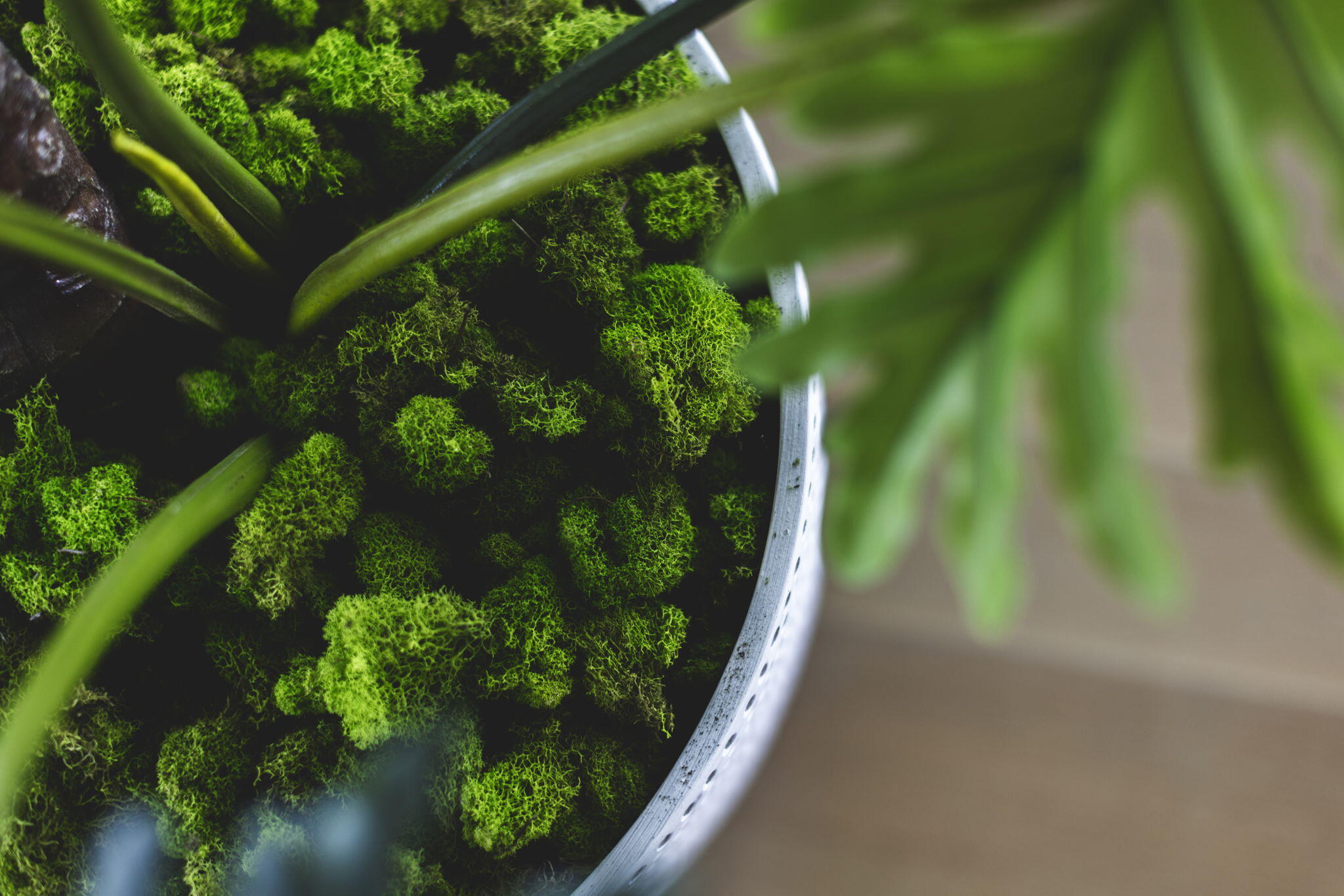 Paradise By The Sea - Residential