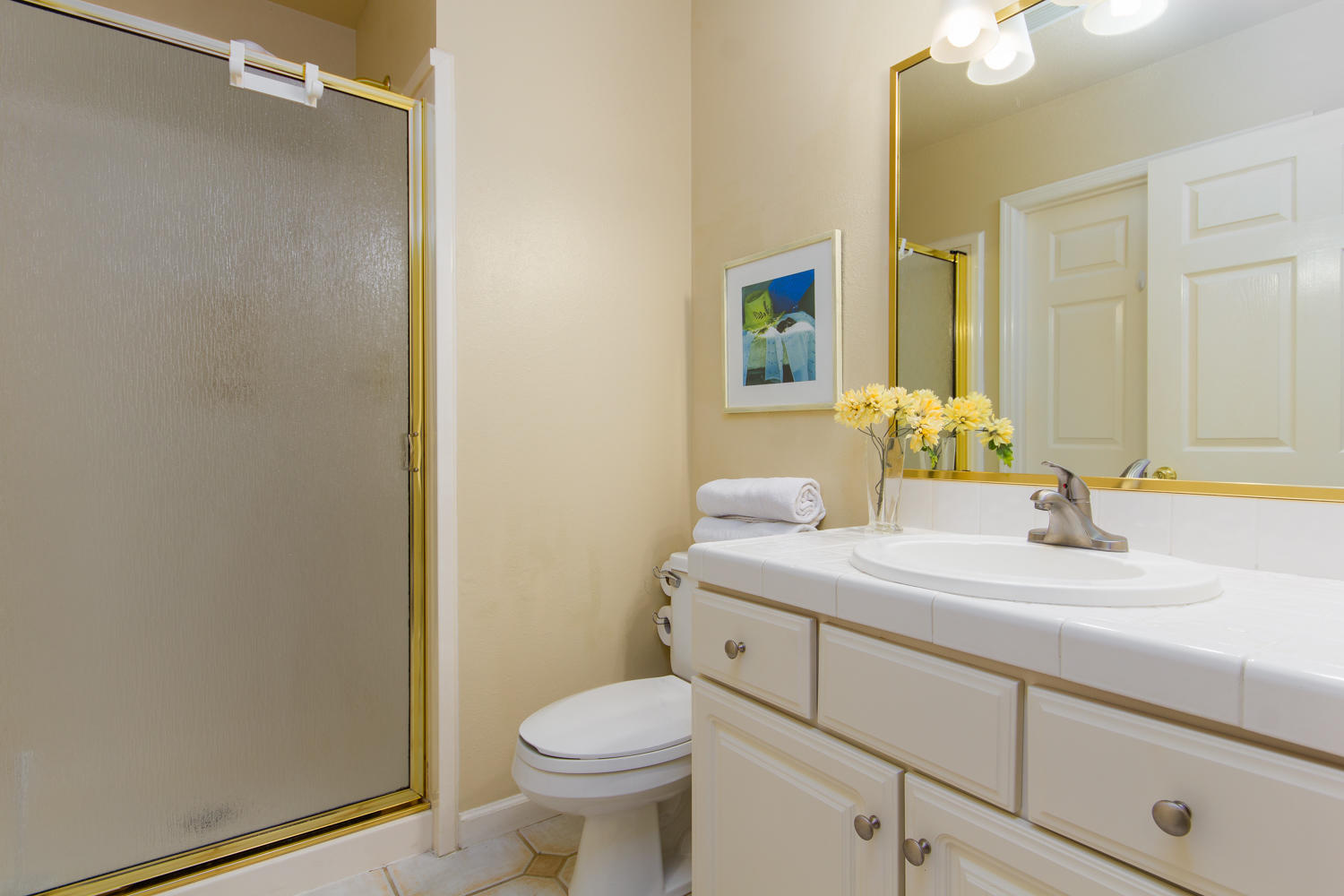 TERRA COTTA TERRACE - Residential