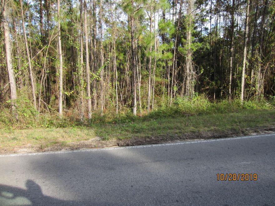 Six acres directly fronting CR 393 South. Only 1/2 mile to the Ed Walline Beach Access that has parking, restrooms, handicap access and lifeguards in season. Excellent opportunity to own a large single family lot that is close to Gulf Place and all the amenities offered. Only one house may be constructed on this six acres. Call for specifics.
