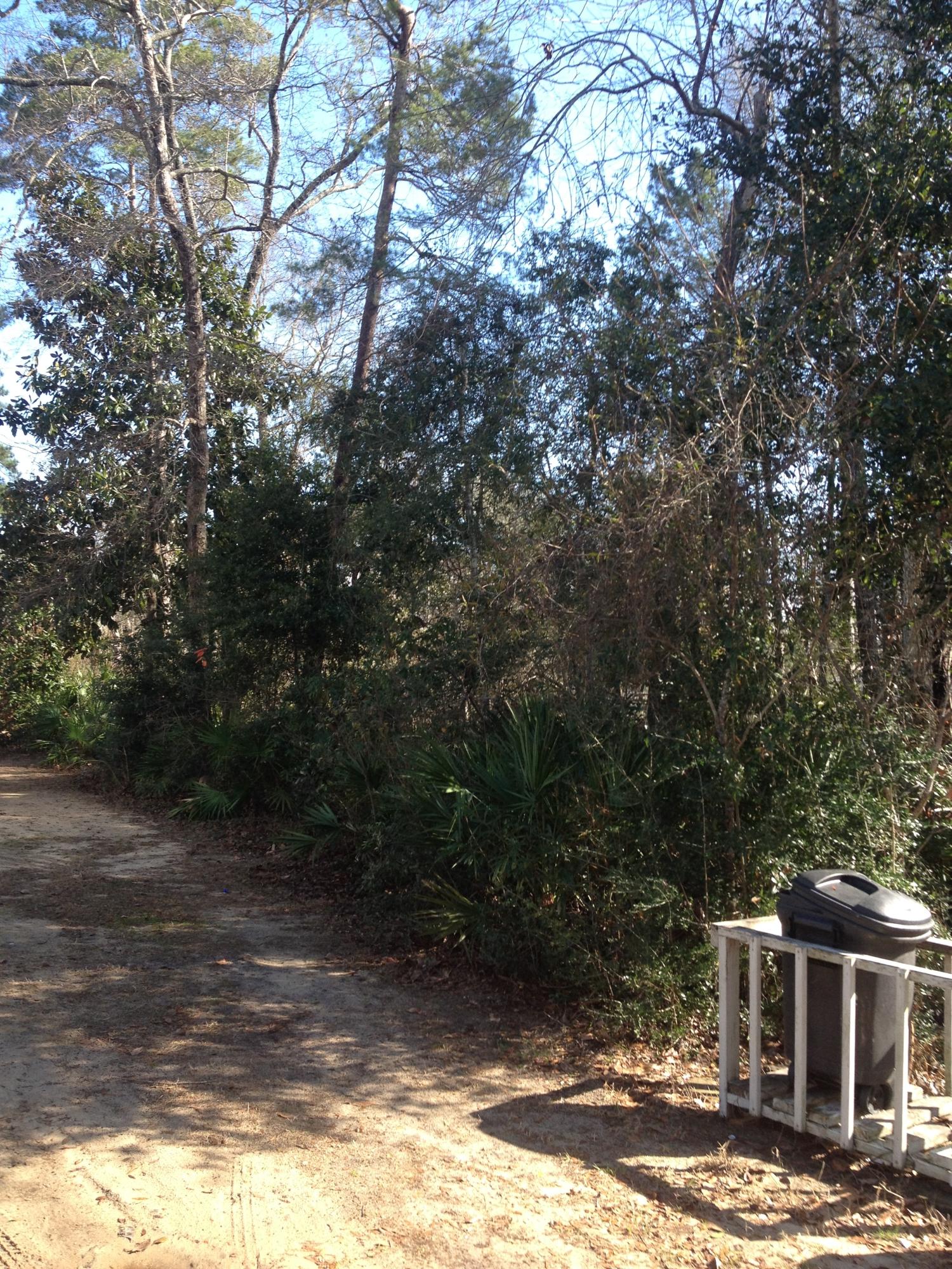 Magnolia Baye - Land