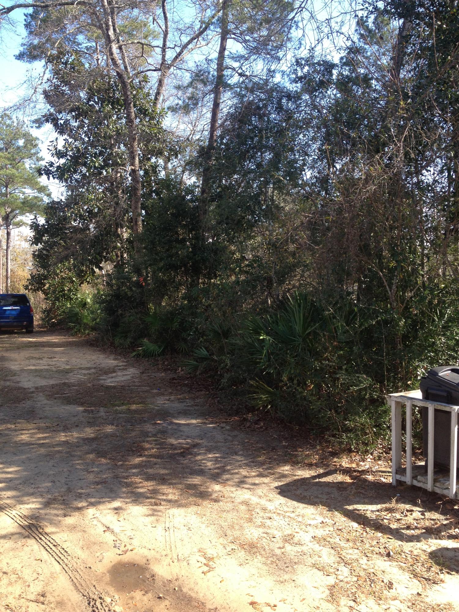 Magnolia Baye - Land