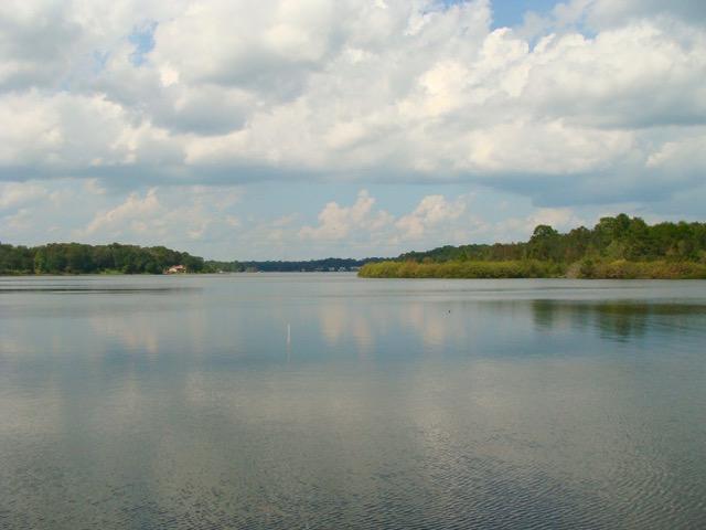 DOGWOOD TERRACE - Residential