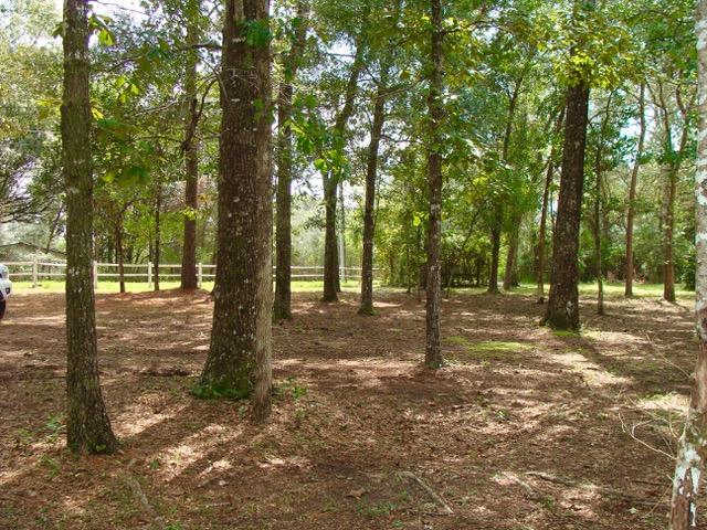DOGWOOD TERRACE - Residential