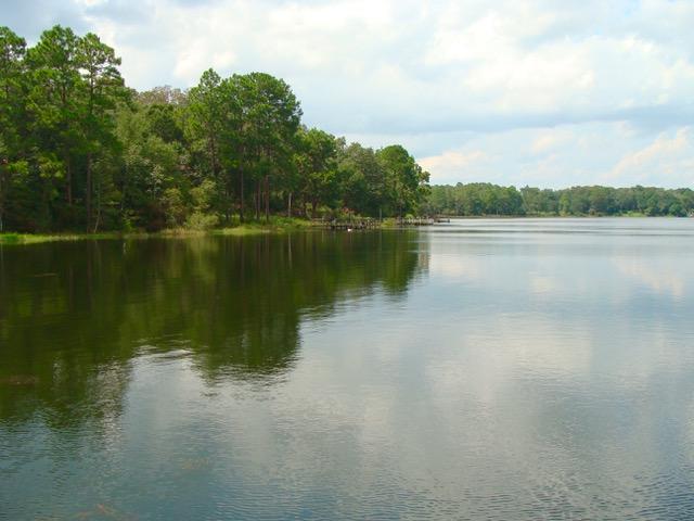 DOGWOOD TERRACE - Residential