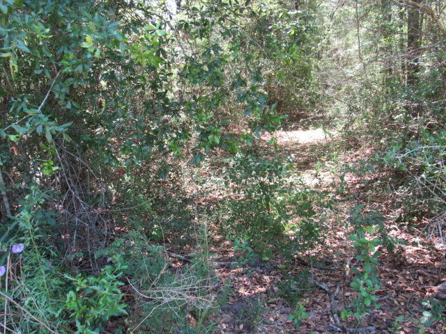 North Supergroup - Land