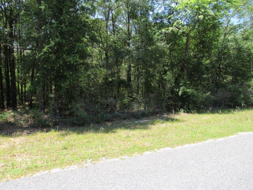 Perfect Location for easy commute to I-10, Hwy 90 and Hwy 4 in Baker/Holt Communities.  Holt Water is available (tap fee not paid) Nice level parcel of land. Dead end Street has no thru traffic and is mixed with homes and manufactured homes. Seller does have a survey he will transfer to the new owner.  No seller financing.