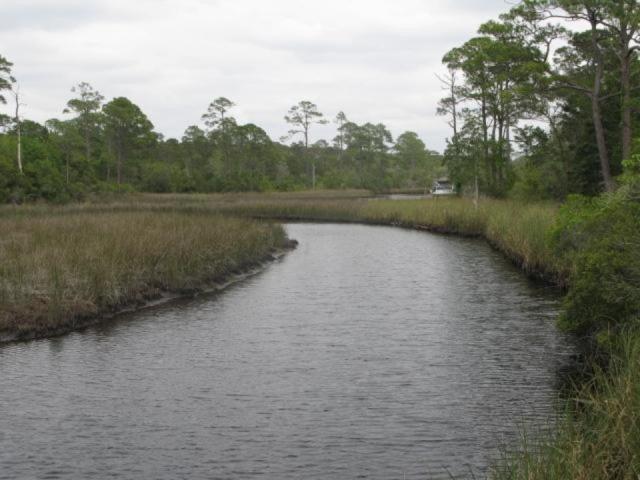 THE PRESERVE AT INLET BEACH - Residential