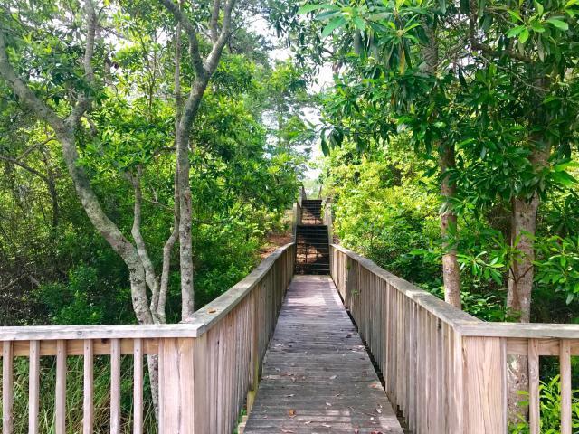THE PRESERVE AT INLET BEACH - Residential