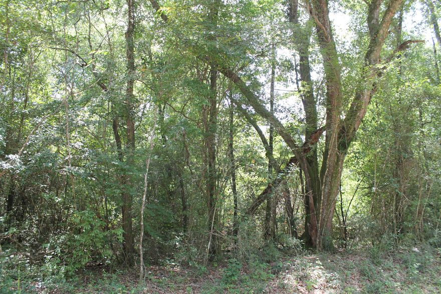 Bring the Horses and build you barn in the heart of Milligan. Location ,Location,Location!Seller will consider owner financing. Potential rezone for industrial ,rail road access. Owner Financing!