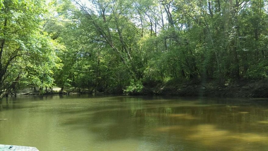MOTIVATED SELLER!! 91 ACRES TO BUILD YOUR NEW HOME ON, GREAT FOR HUNTING AND FISHING. BRING YOUR BOAT AND 4-WHEELER AND ENJOY THIS COUNTRY SETTING!! YOU CAN ACCESS CHOCTAHACHEE RIVER FOR SOME GREAT FISHING FROM THIS PROPERTY!