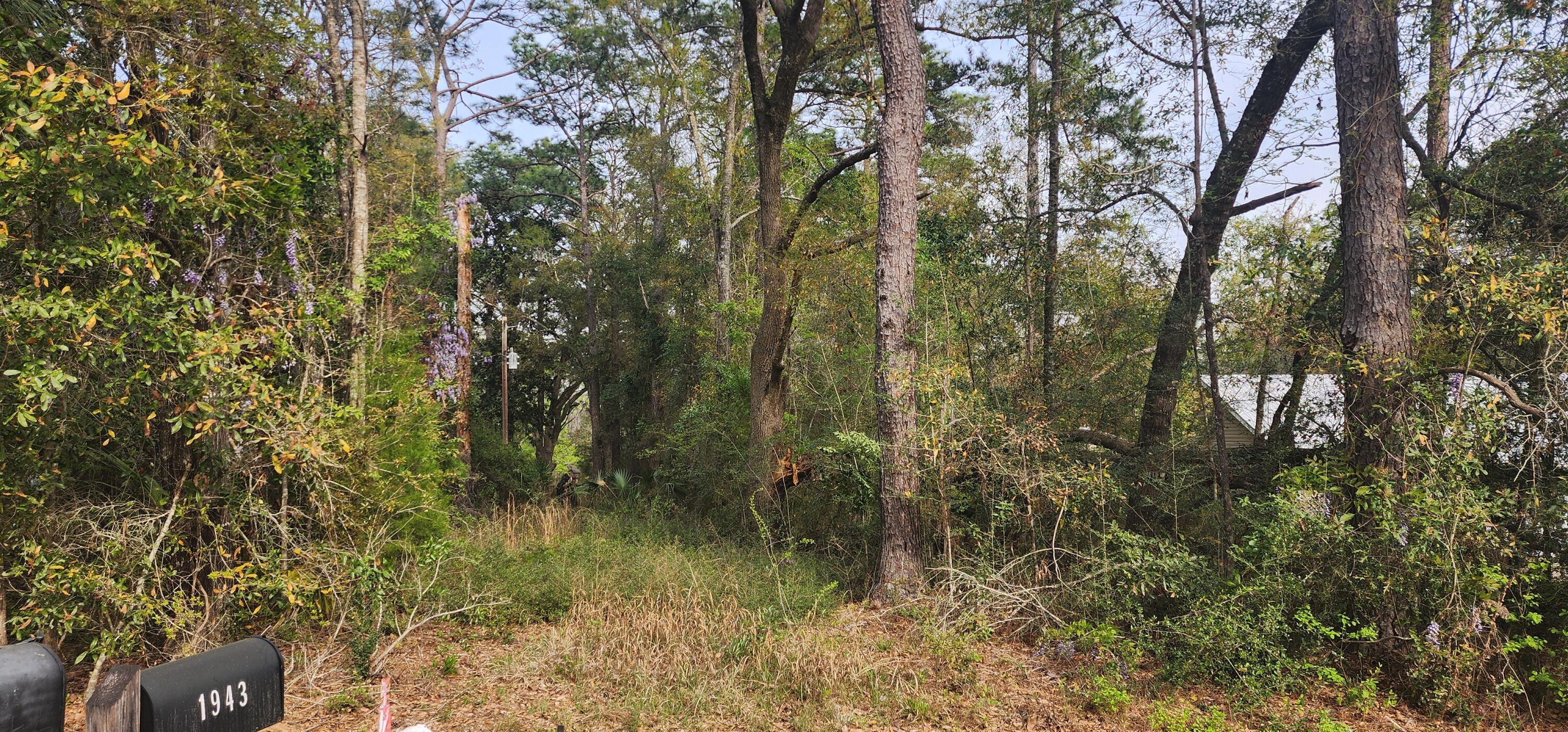 Dogwood Lake Estates - Land