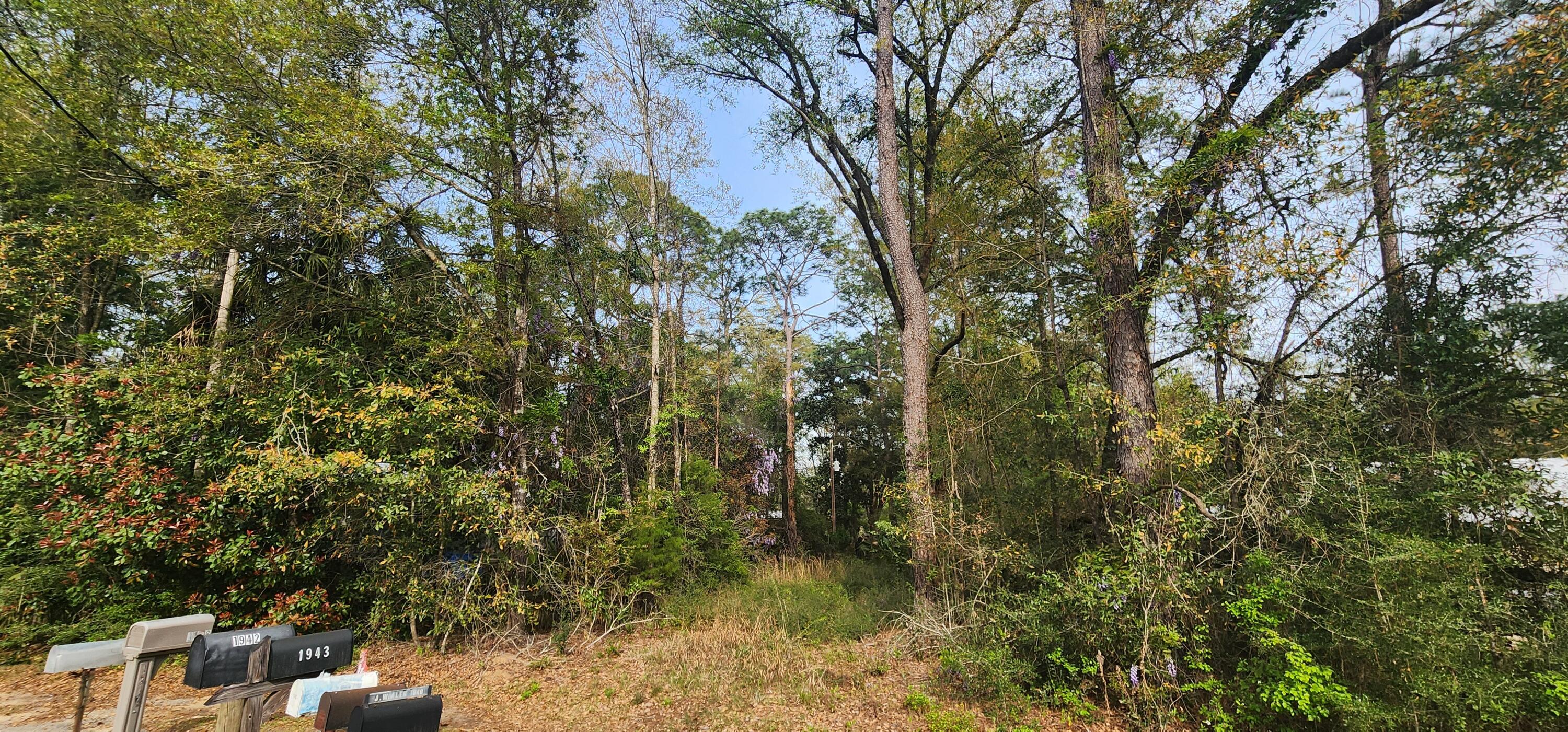 Dogwood Lake Estates - Land