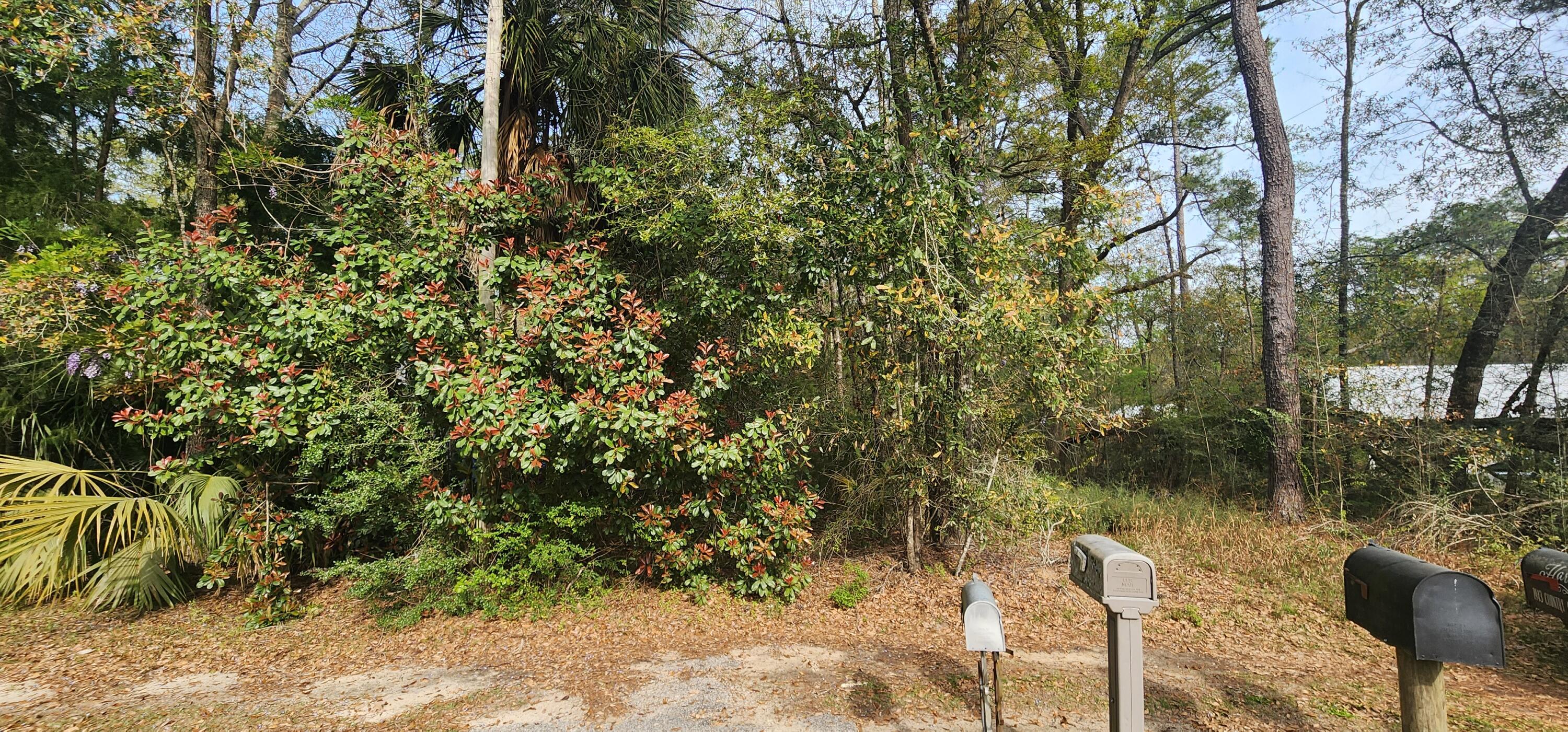 Dogwood Lake Estates - Land