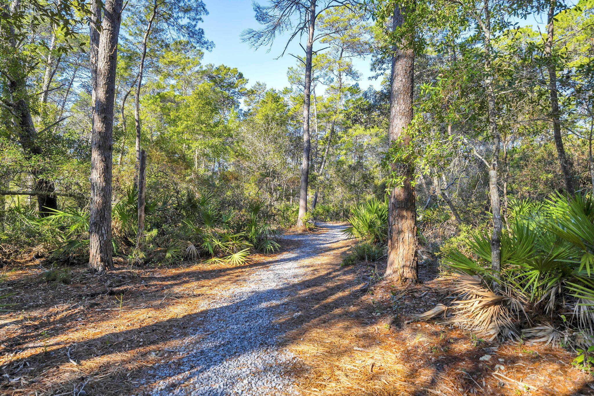 Mussett Bayou Manor - Residential