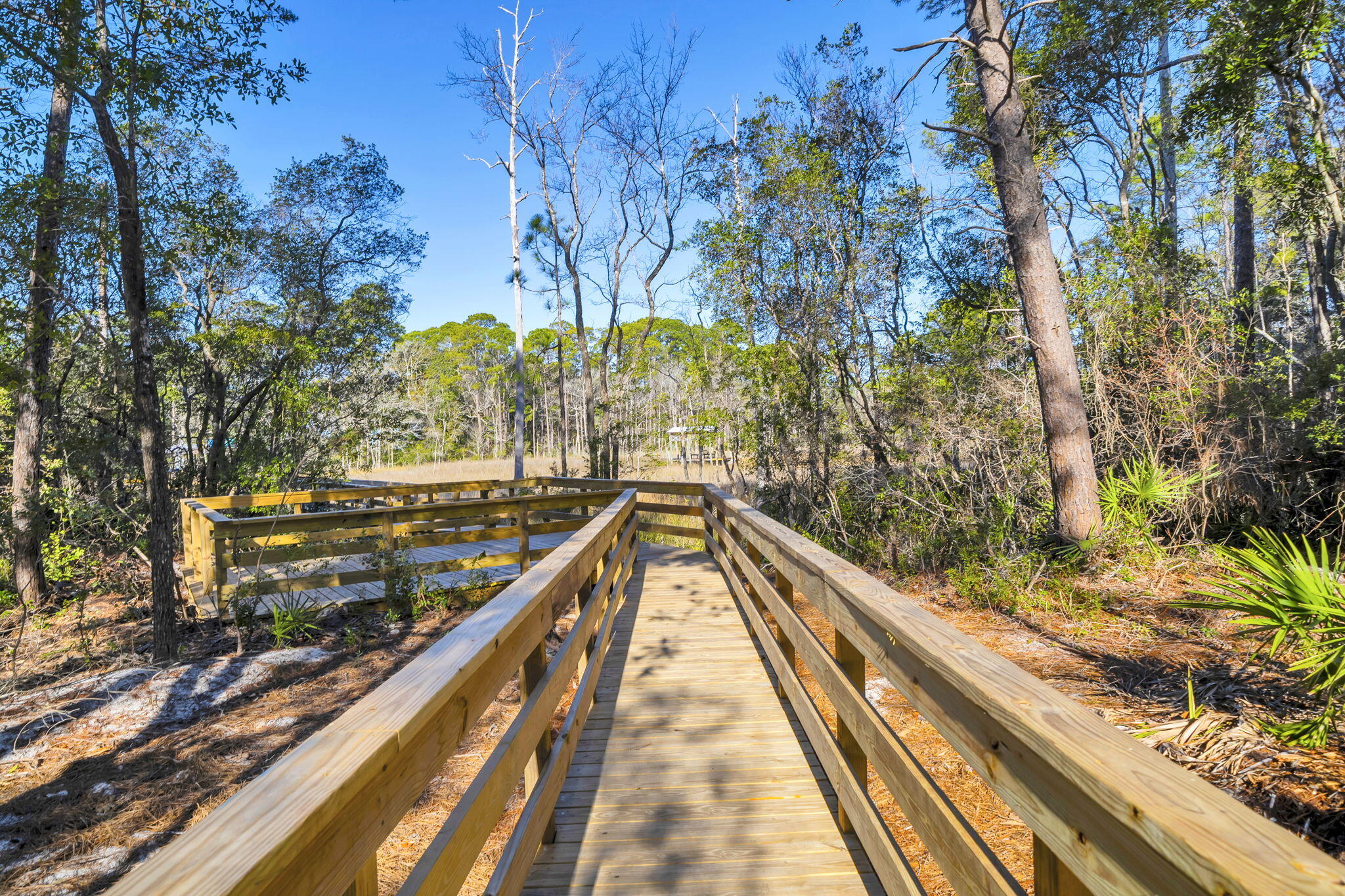 Mussett Bayou Manor - Residential