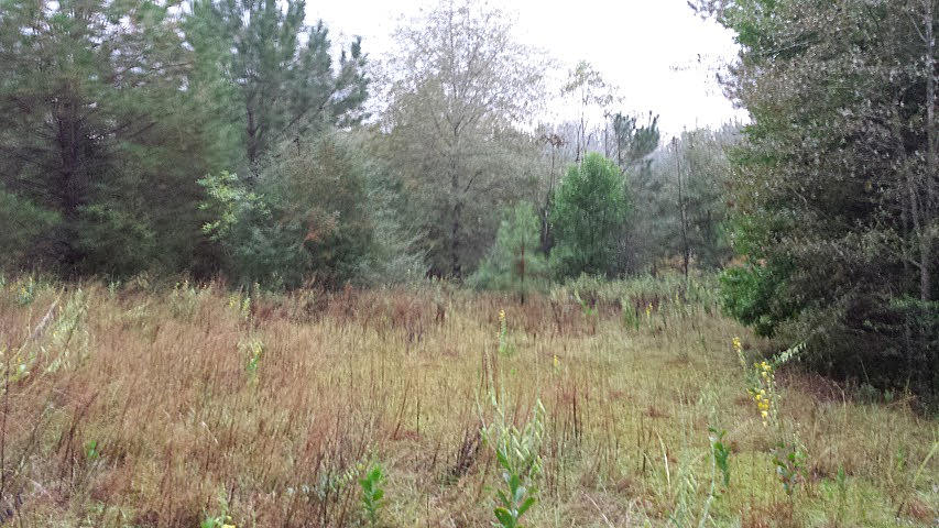 NO RECORDED SUBDIVISION - Land