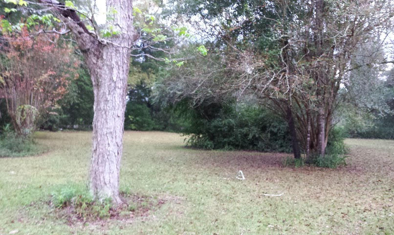 NO RECORDED SUBDIVISION - Land