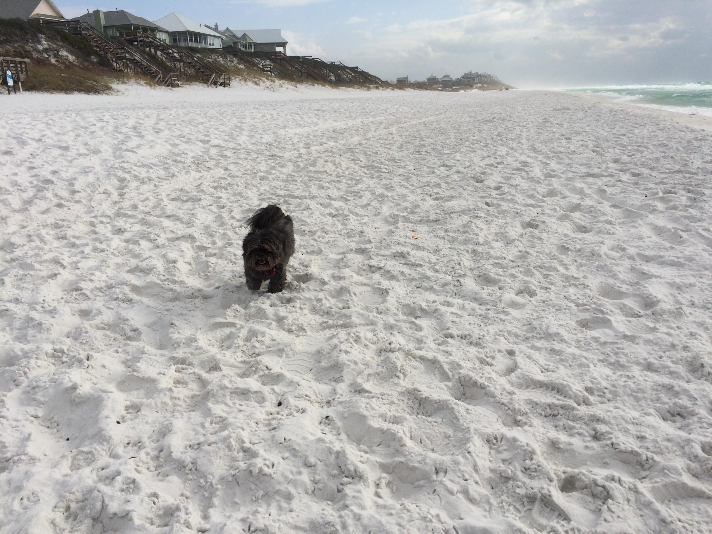 GULFVIEW HEIGHTS 1ST ADDN - Land