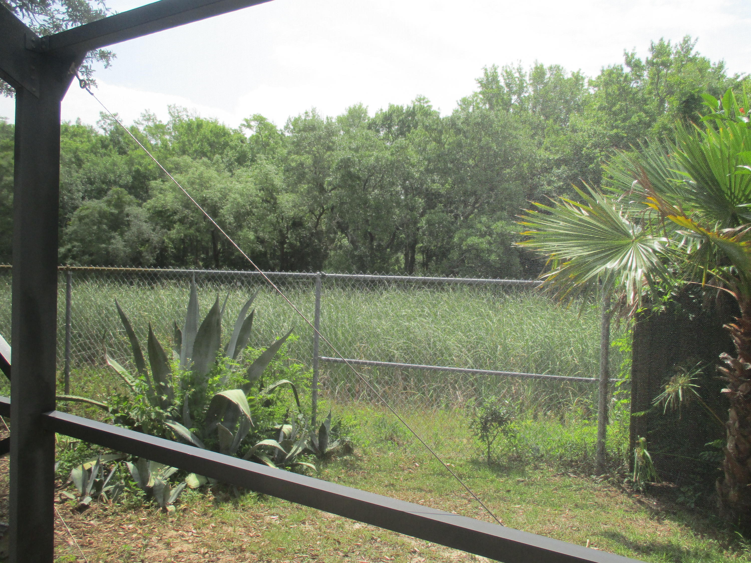 WOODLAWN HEIGHTS - Residential