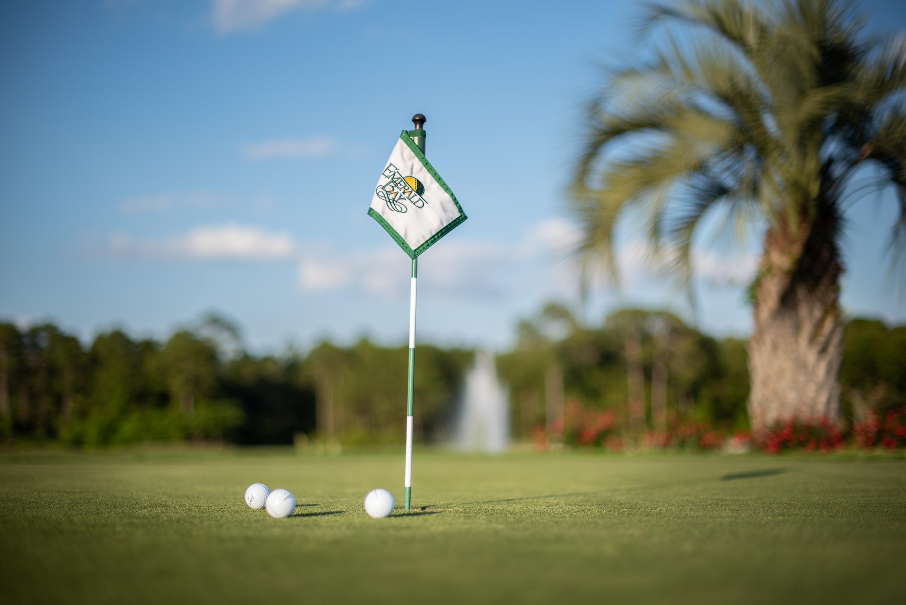 EMERALD BAY PH 1-B - Residential