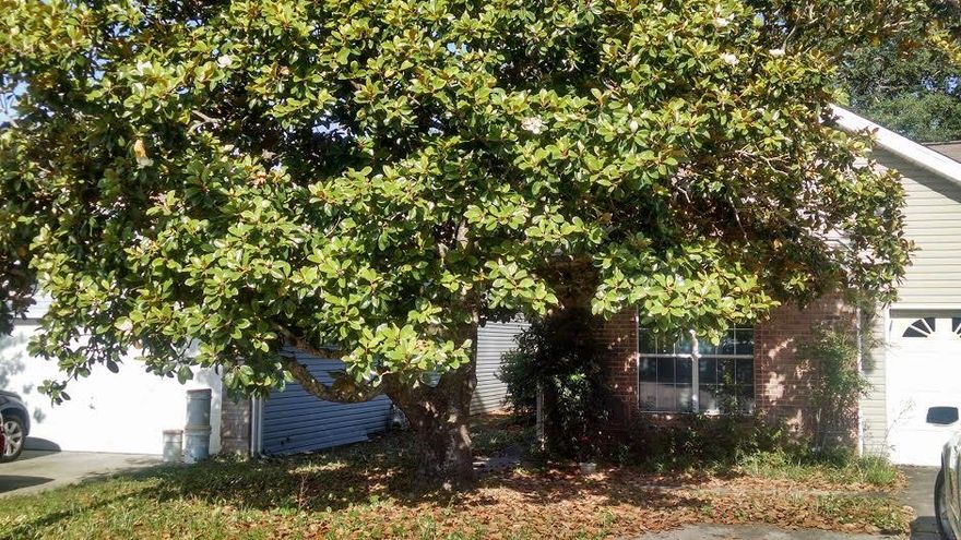 Well Designed Floor Plan; Split Bedroom; Great Master Suite with Very Large Walk-In Closet; Lots of Wallpaper, Self-Cleaning Oven, Beautiful Cabinetry, Cozy Fireplace and more. House Is Complete and Ready For Occupancy.