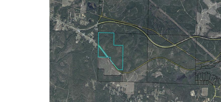 147 Ac of Timberland along the CSX railroad line ( See plat photo )
Considered isolated timber with 63 Ac swampland.
Access could be attained south of the railroad tracks off Co Hwy 183 S.
