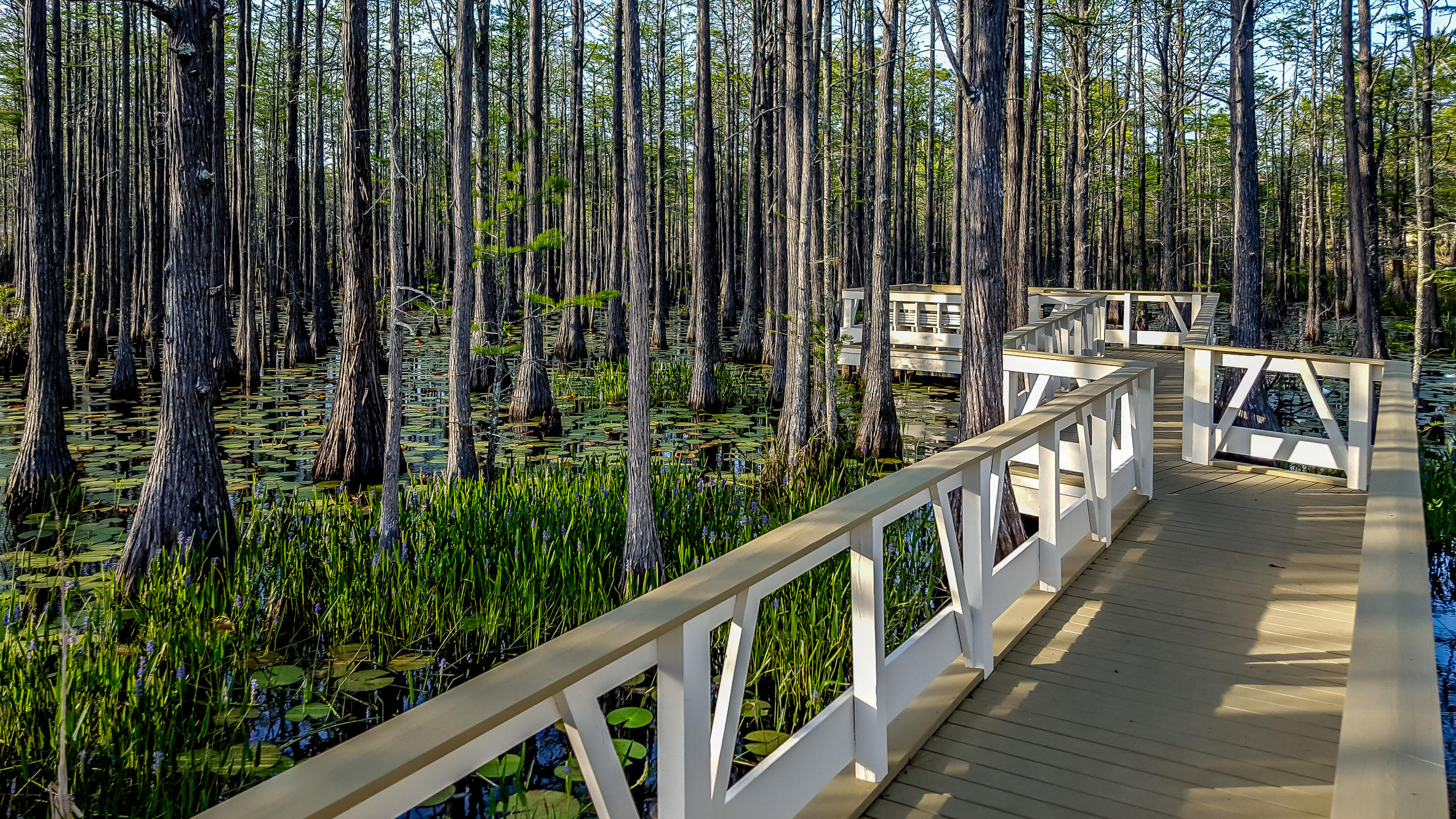 CYPRESS DUNES - Residential
