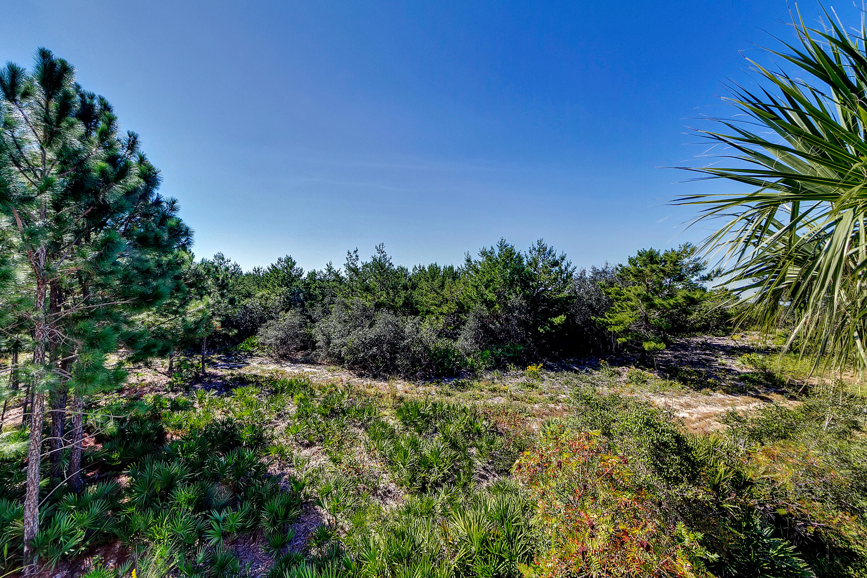 CYPRESS DUNES - Residential