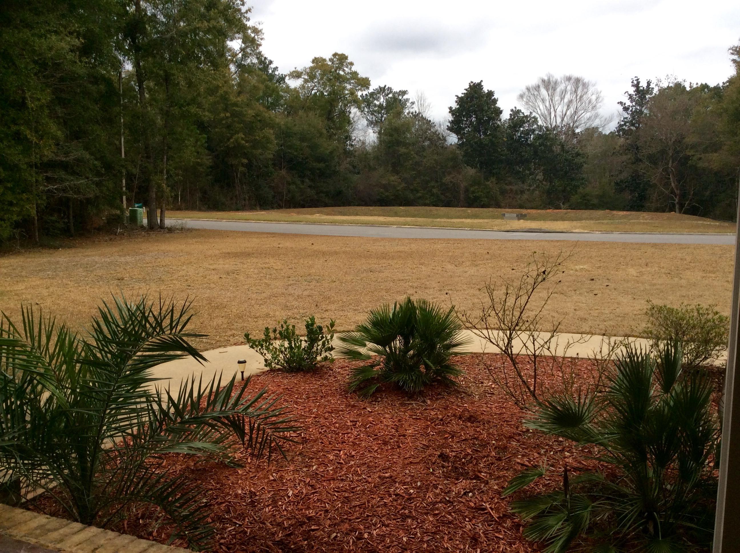 ASHLEY PLACE - Residential