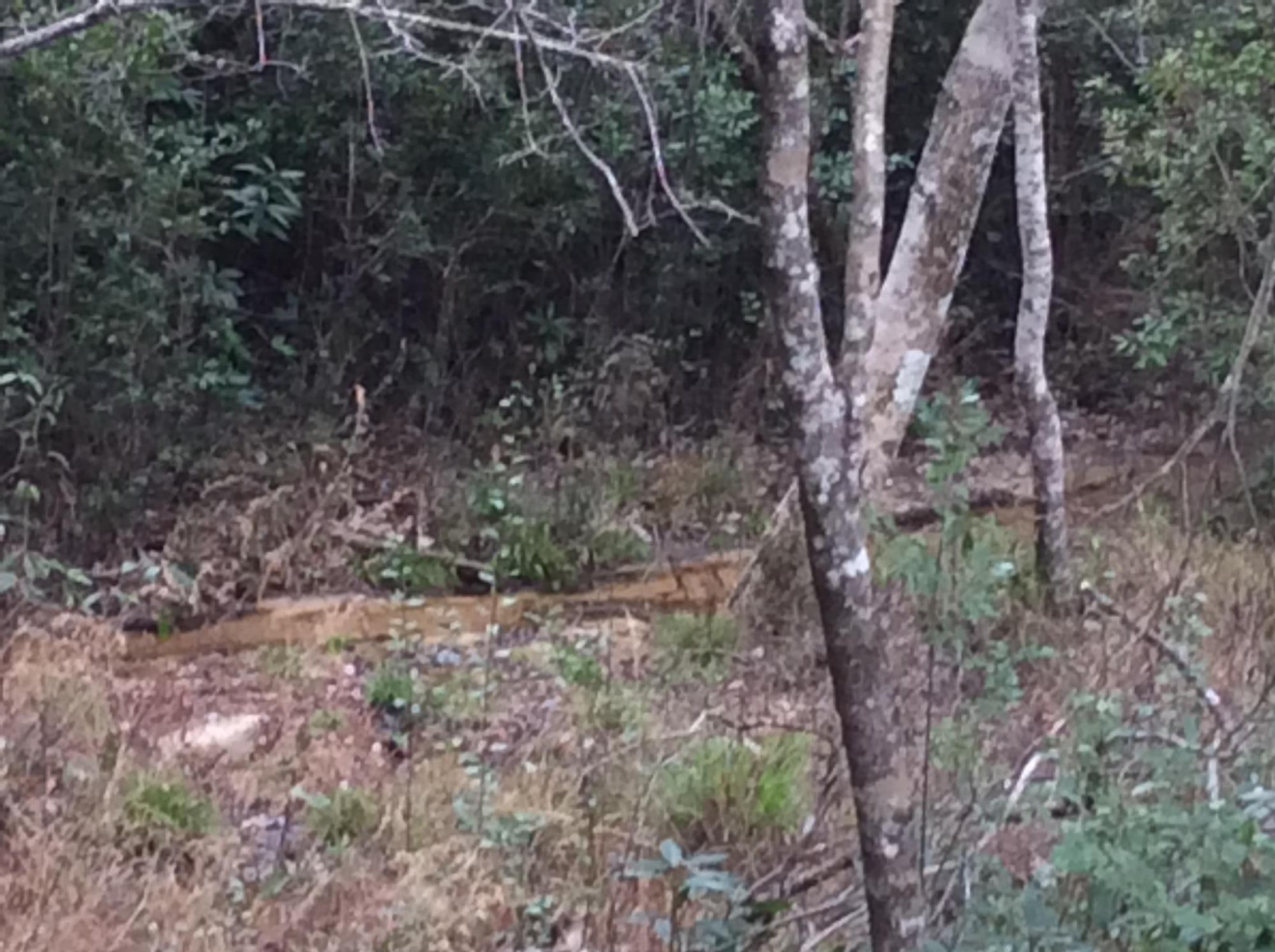 ASHLEY PLACE - Residential