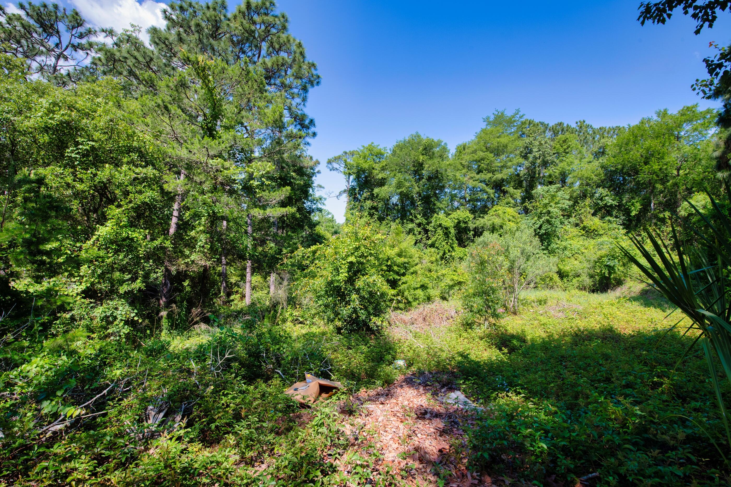 TURKEY-CREEK ESTATES - Residential