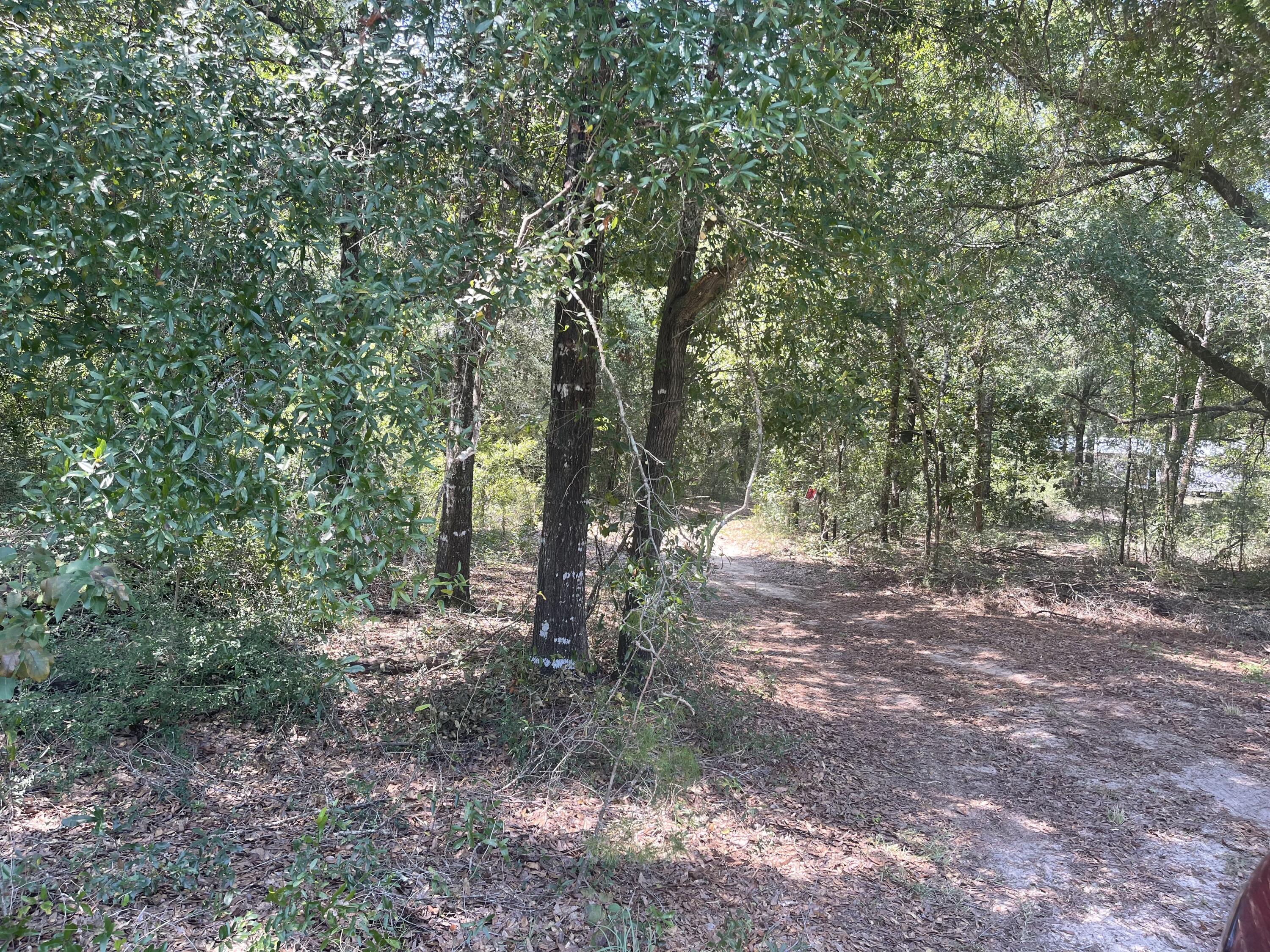 METES & BOUNDS - Land